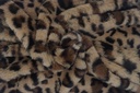 Mutón leopardo