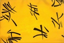 Raso amarillo letras chinas